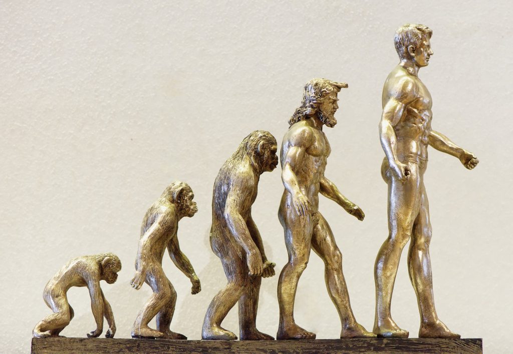 evolution technology backbone security