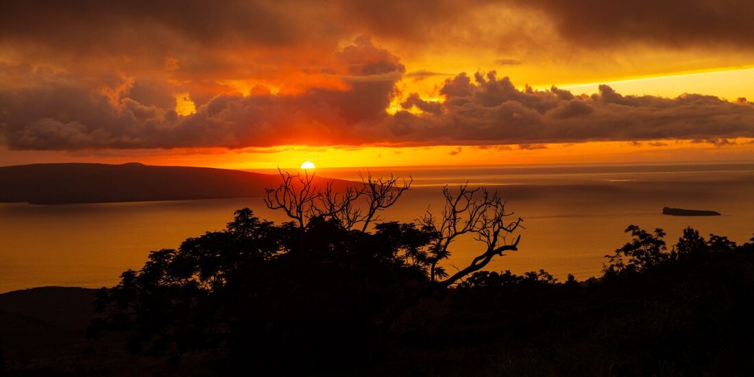 Ukraine Maui disaster recovery rebuild